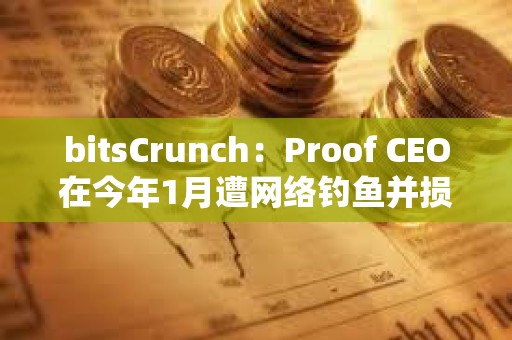 bitsCrunch：Proof CEO在今年1月遭網絡釣魚并損失了價值110萬美元的NFT