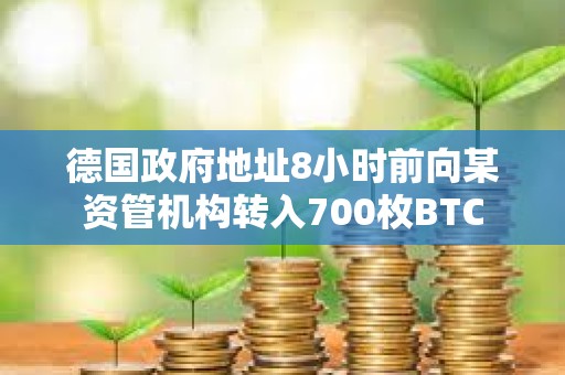 德國政府地址8小時前向某資管機構轉入700枚BTC