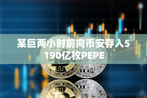 某巨兩小時前向幣安存入5190億枚PEPE