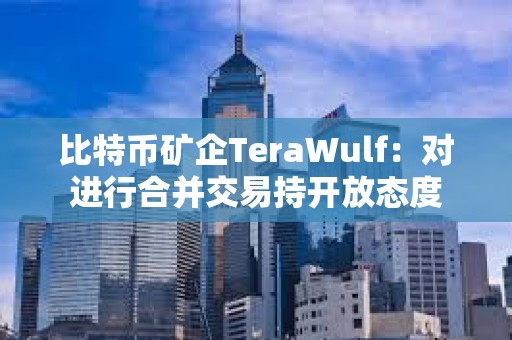比特幣礦企TeraWulf：對進行合并交易持開放態度