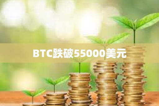 BTC跌破55000美元