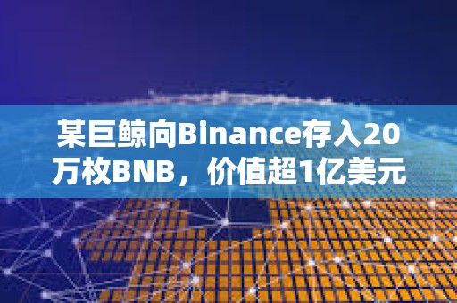 某巨鯨向Binance存入20萬枚BNB，價值超1億美元