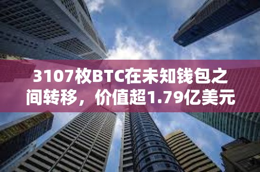 3107枚BTC在未知錢包之間轉移，價值超1.79億美元