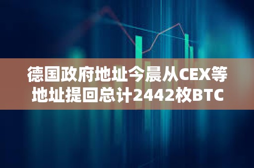 德國(guó)政府地址今晨從CEX等地址提回總計(jì)2442枚BTC