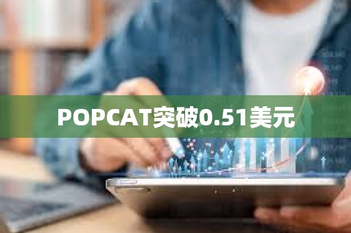 POPCAT突破0.51美元