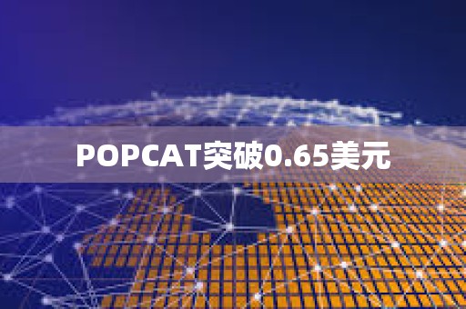 POPCAT突破0.65美元