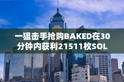 一狙擊手搶購BAKED在30分鐘內獲利21511枚SOL