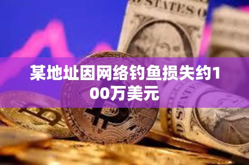 某地址因網絡釣魚損失約100萬美元