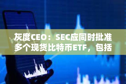 灰度CEO：SEC應同時批準多個現貨比特幣ETF，包括批準GBTC轉換