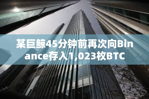 某巨鯨45分鐘前再次向Binance存入1,023枚BTC