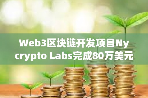 Web3區塊鏈開發項目Nycrypto Labs完成80萬美元Pre-Seed輪融資，DNA Fund領投