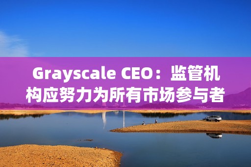 Grayscale CEO：監管機構應努力為所有市場參與者建立一個公平競爭的環境