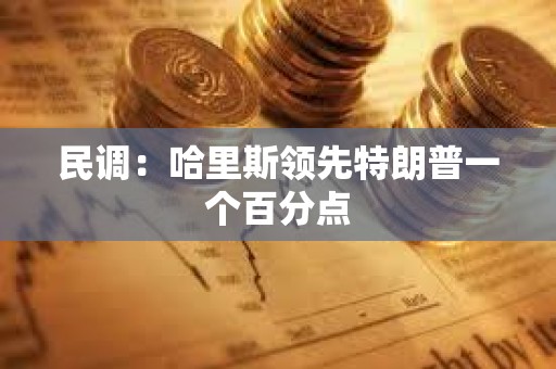 民調：哈里斯領先特朗普一個百分點