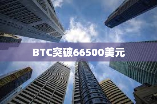 BTC突破66500美元