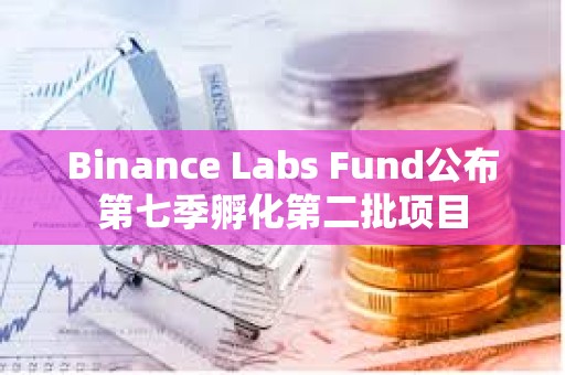 Binance Labs Fund公布第七季孵化第二批項目