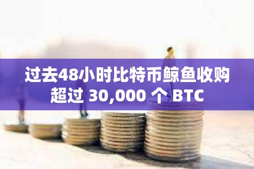 過去48小時比特幣鯨魚收購超過 30,000 個 BTC