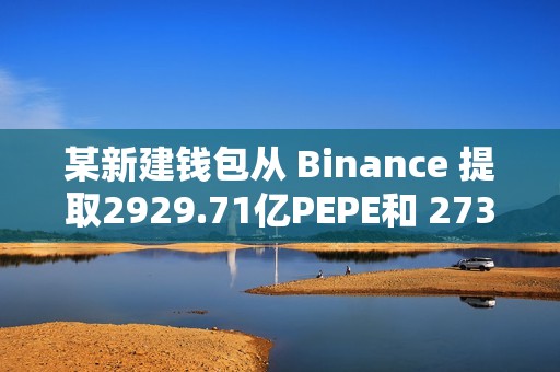 某新建錢包從 Binance 提取2929.71億PEPE和 273,267枚WLD
