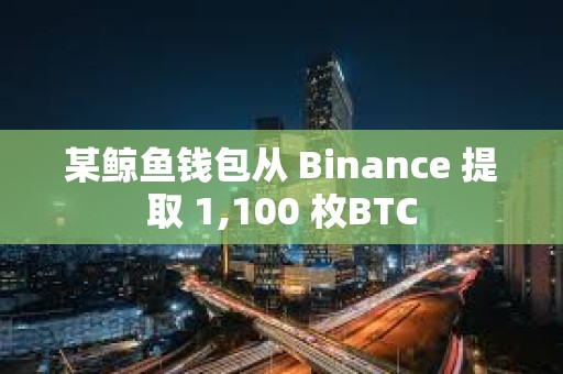 某鯨魚錢包從 Binance 提取 1,100 枚BTC