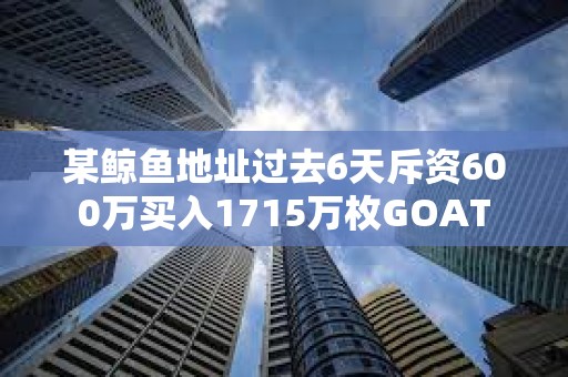 某鯨魚地址過去6天斥資600萬買入1715萬枚GOAT