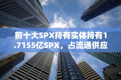 前十大SPX持有實體持有1.7155億SPX，占流通供應量的18.4%