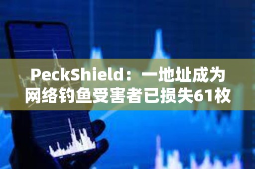 PeckShield：一地址成為網絡釣魚受害者已損失61枚WETH