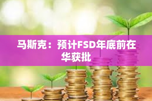 馬斯克：預計FSD年底前在華獲批
