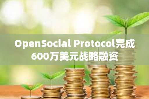 OpenSocial Protocol完成600萬美元戰略融資