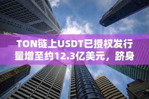 TON鏈上USDT已授權(quán)發(fā)行量增至約12.3億美元，躋身前五