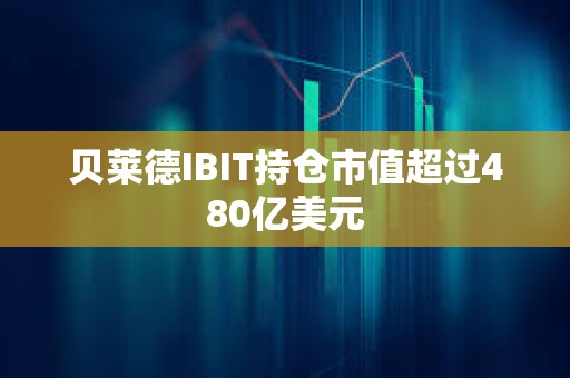 貝萊德IBIT持倉市值超過480億美元
