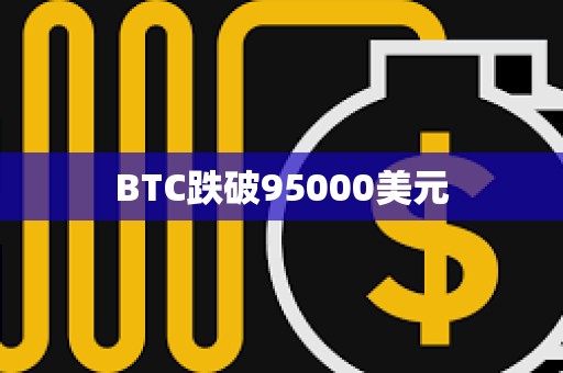 BTC跌破95000美元