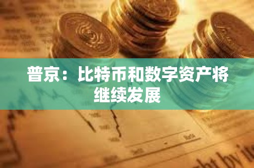 普京：比特幣和數字資產將繼續發展