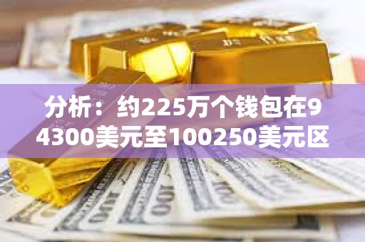 分析：約225萬個錢包在94300美元至100250美元區間買入218萬枚BTC