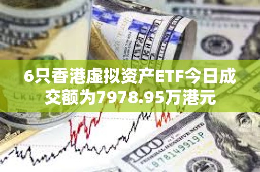 6只香港虛擬資產(chǎn)ETF今日成交額為7978.95萬港元