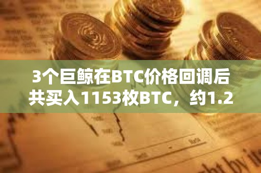 3個巨鯨在BTC價格回調后共買入1153枚BTC，約1.2億美元