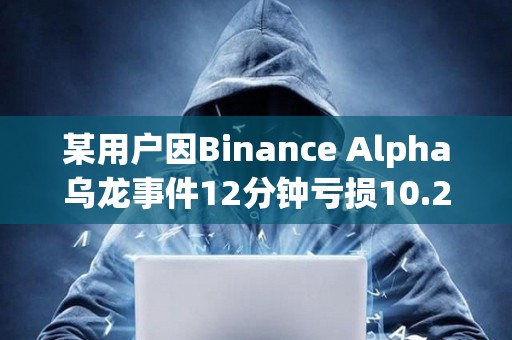 某用戶因Binance Alpha烏龍事件12分鐘虧損10.2萬美元