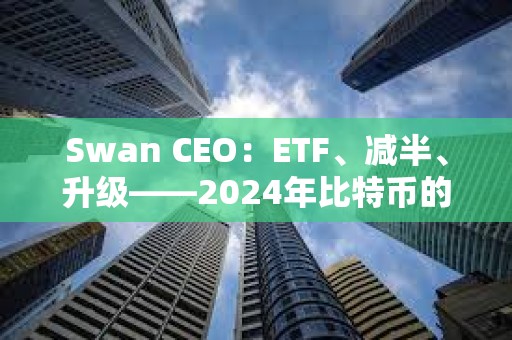 Swan CEO：ETF、減半、升級(jí)——2024年比特幣的預(yù)期