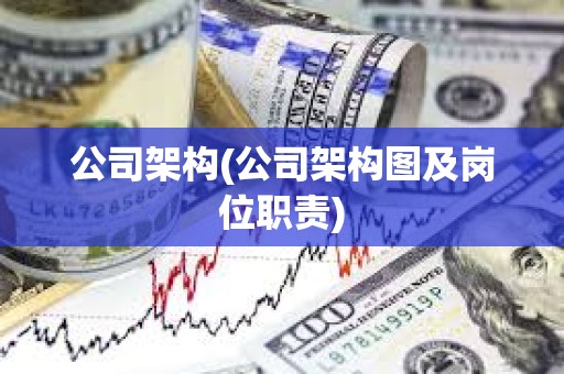 公司架構(公司架構圖及崗位職責) 公司架構(公司架構圖及崗位職責)