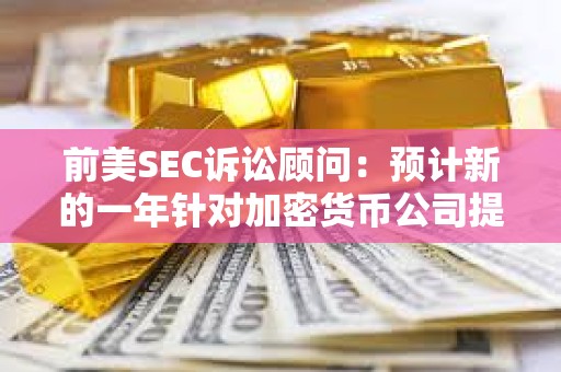 前美SEC訴訟顧問：預(yù)計(jì)新的一年針對(duì)加密貨幣公司提起的案件將會(huì)減少