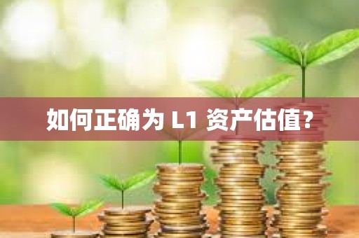 如何正確為 L1 資產估值？