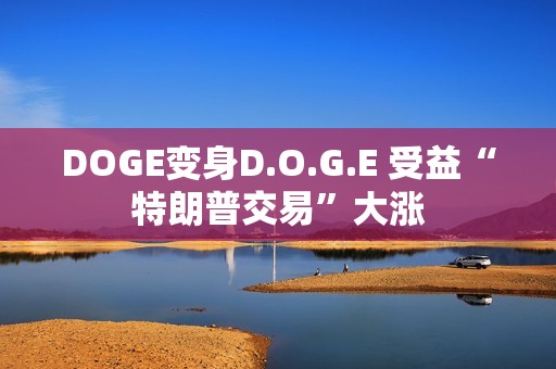 DOGE變身D.O.G.E 受益“特朗普交易”大漲