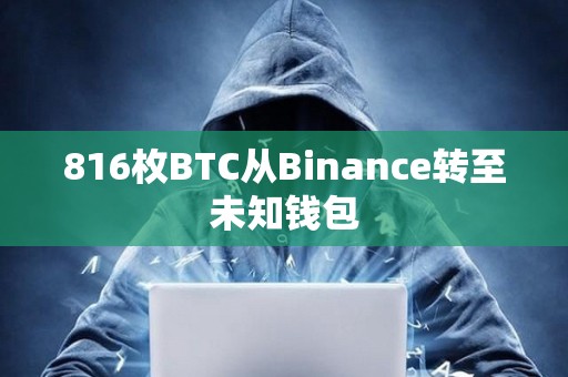 816枚BTC從Binance轉至未知錢包