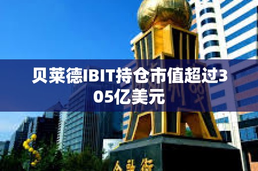 貝萊德IBIT持倉市值超過305億美元