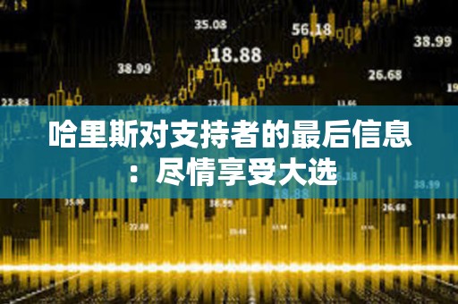 哈里斯對(duì)支持者的最后信息：盡情享受大選