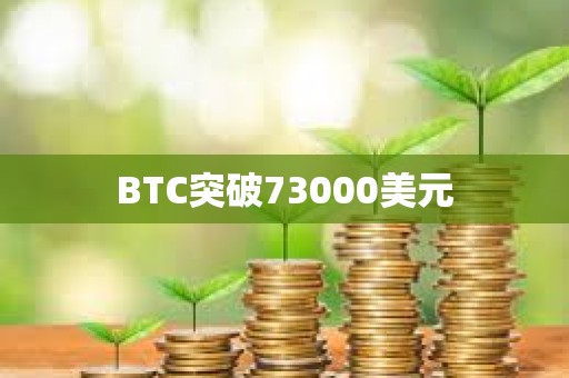 BTC突破73000美元
