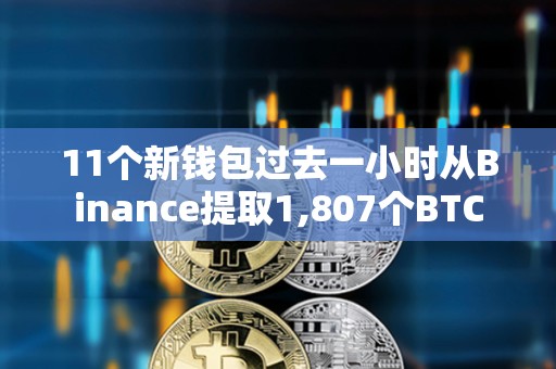 11個新錢包過去一小時從Binance提取1,807個BTC