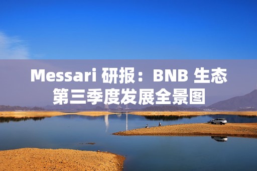 Messari 研報：BNB 生態第三季度發展全景圖