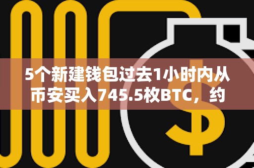 5個新建錢包過去1小時內從幣安買入745.5枚BTC，約合5900萬美元