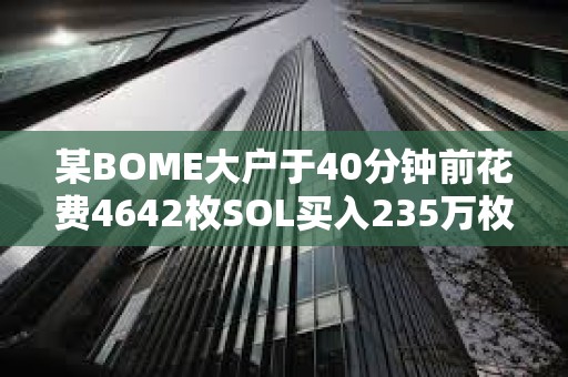 某BOME大戶于40分鐘前花費4642枚SOL買入235萬枚SLERF