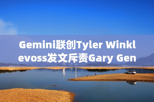 Gemini聯創Tyler Winklevoss發文斥責Gary Gensler