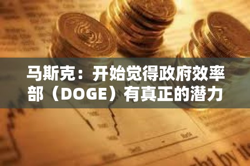 馬斯克：開始覺得政府效率部（DOGE）有真正的潛力